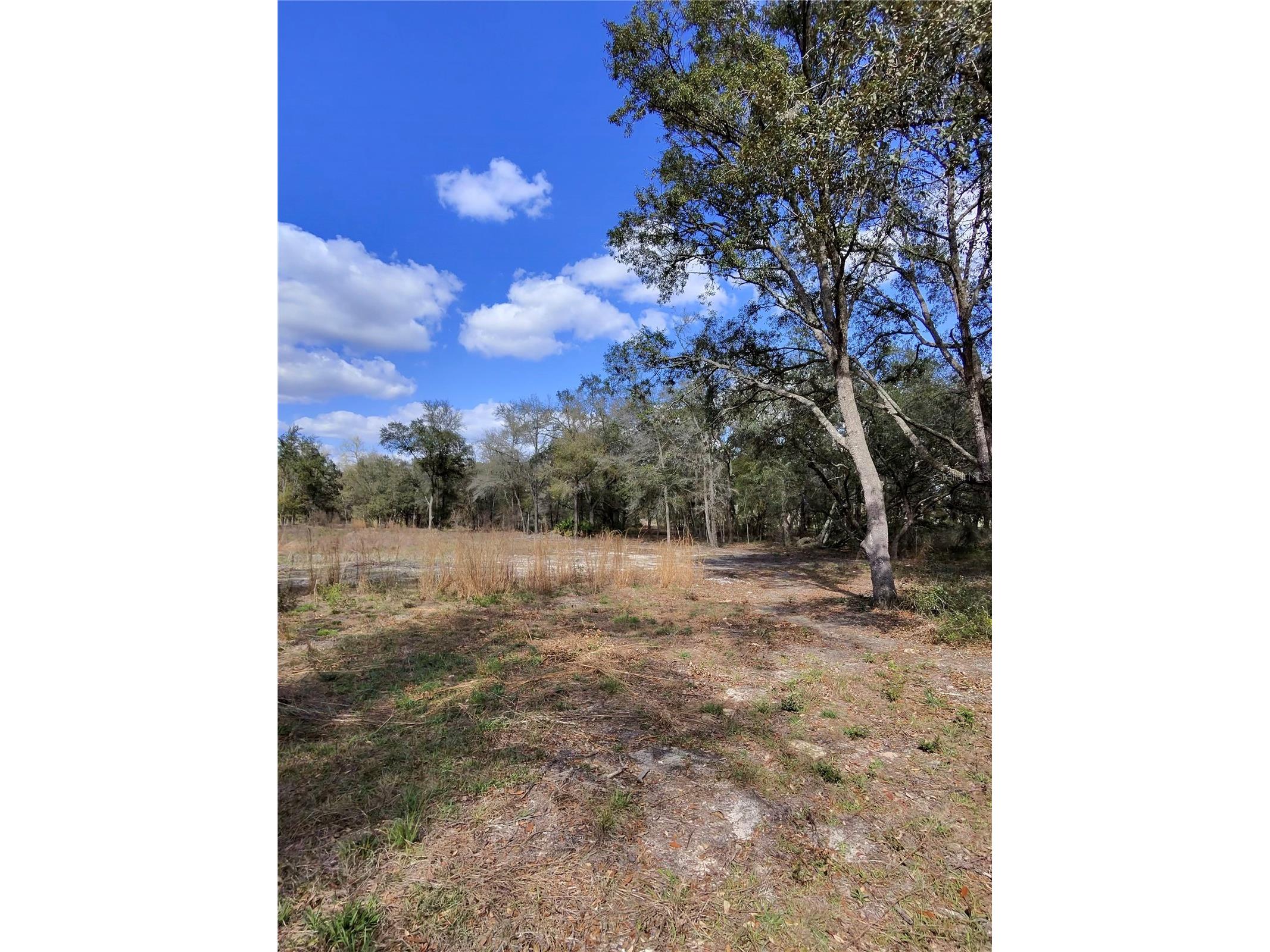 TBD NE 96th Street Archer FL 32618 OM720390 image2