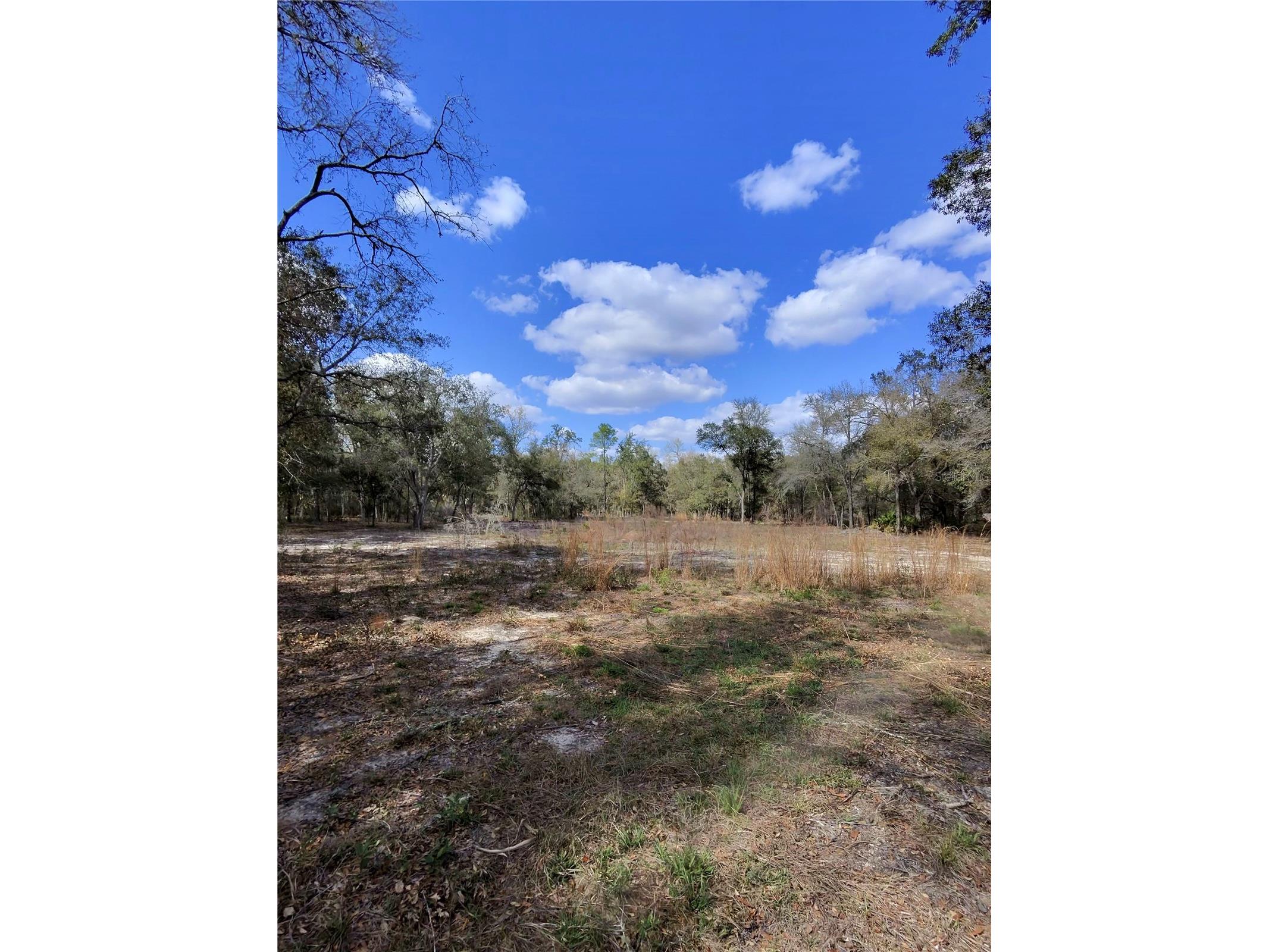 TBD NE 96th Street Archer FL 32618 OM720390 image3