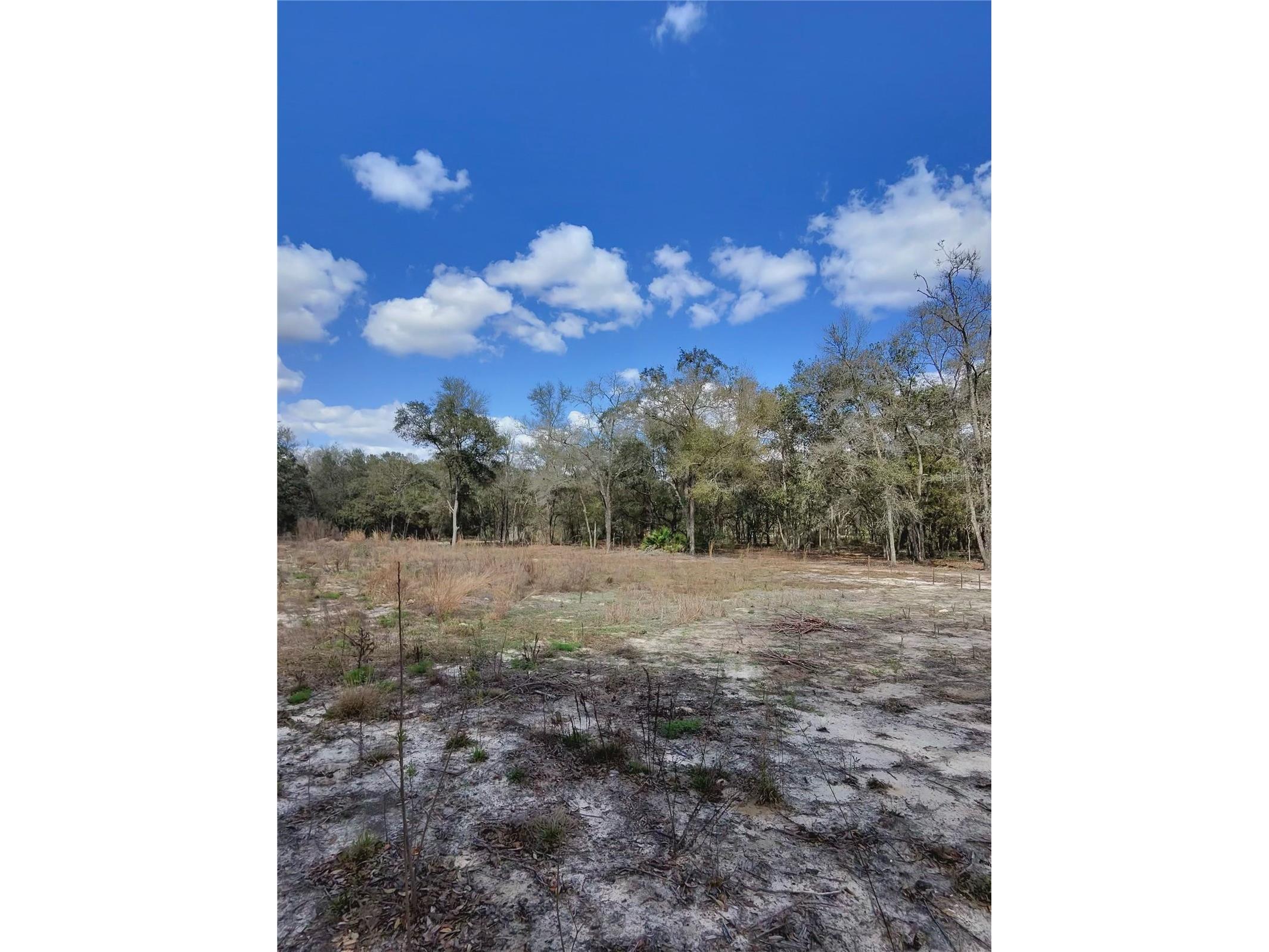 TBD NE 96th Street Archer FL 32618 OM720390 image4