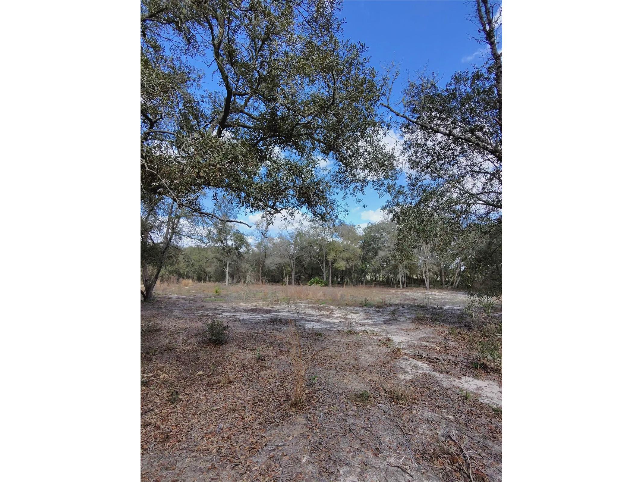 TBD NE 96th Street Archer FL 32618 OM720390 image5
