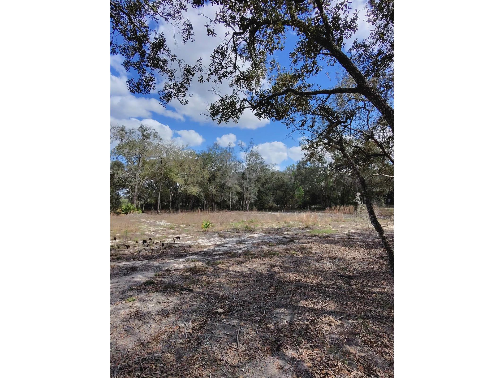 TBD NE 96th Street Archer FL 32618 OM720390 image6