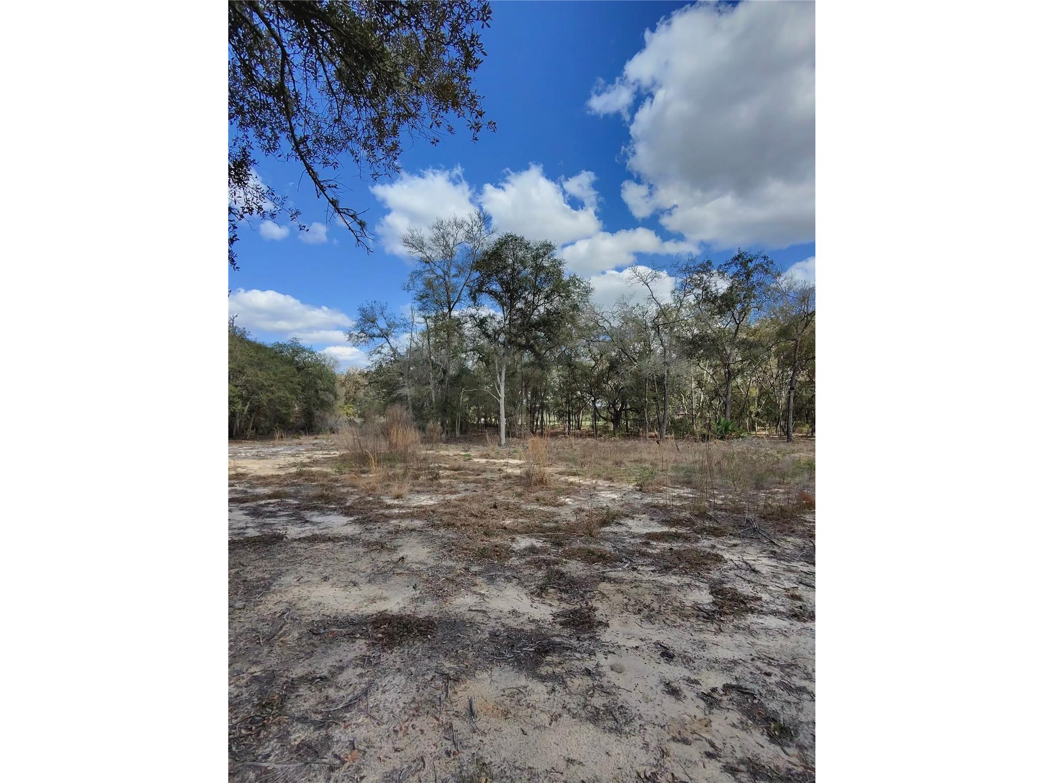 TBD NE 96th Street Archer FL 32618 OM720390 image7