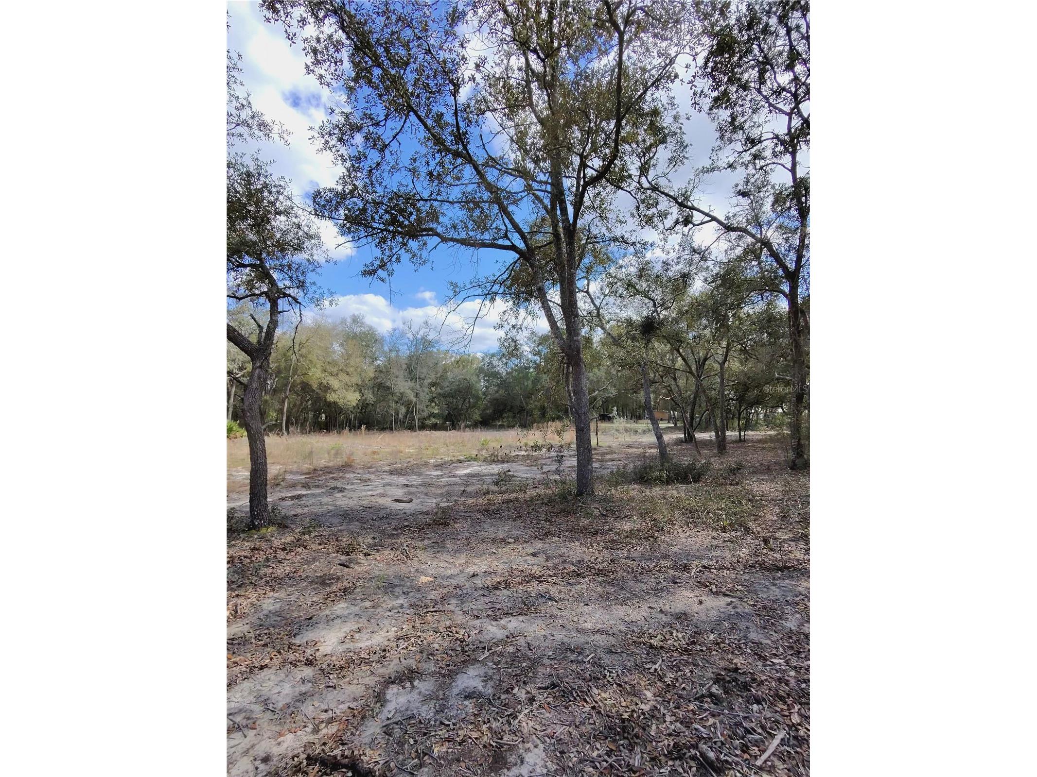 TBD NE 96th Street Archer FL 32618 OM720390 image8