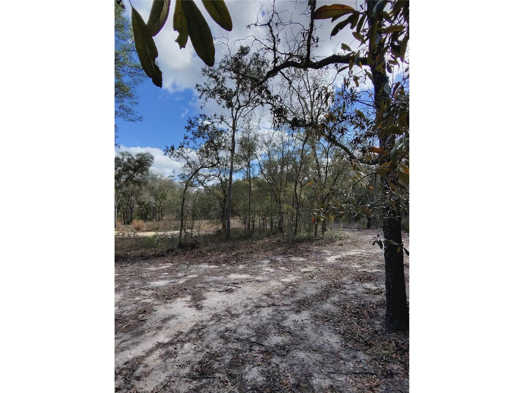 TBD NE 96th Street Archer FL 32618 OM720390 image9