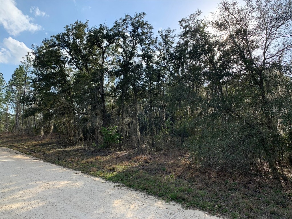 TBD NE 9th Street Williston FL 32696 OM653863 image1