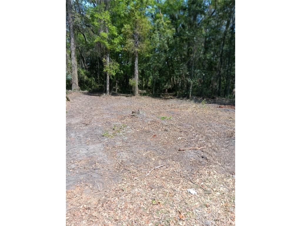 TBD NE Bascom Norris Drive Lake City FL 32024 GC532421 image2