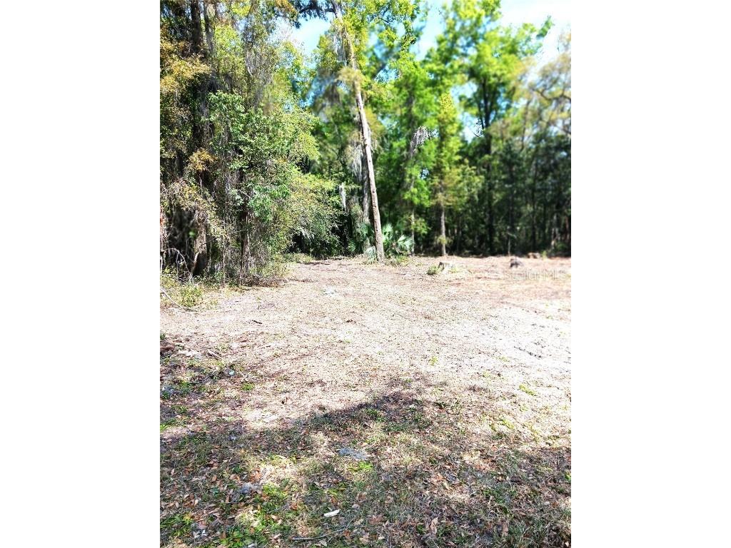 TBD NE Bascom Norris Drive Lake City FL 32024 GC532421 image3