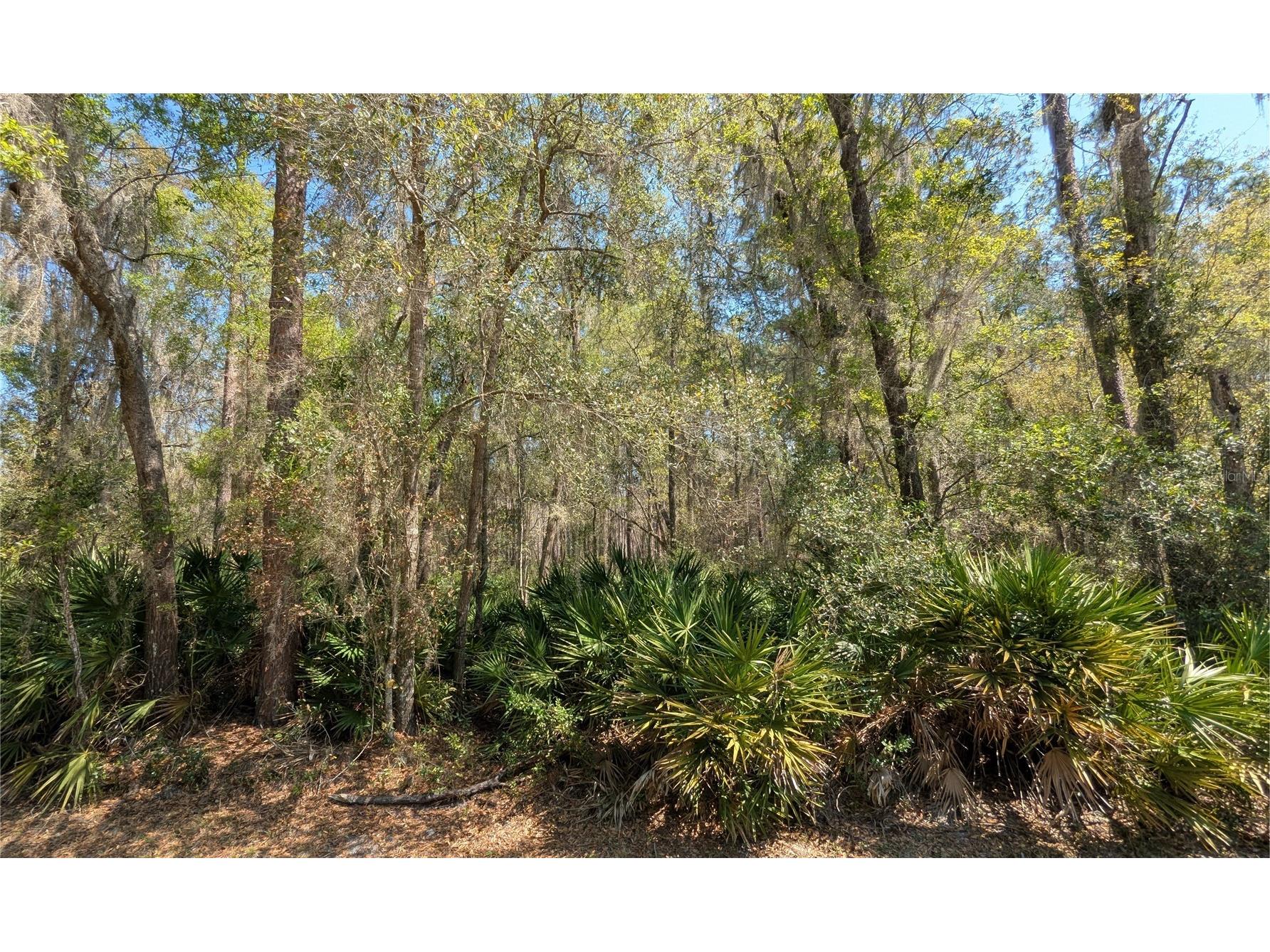 TBD NE County Road 234 Gainesville FL 32641 GC538697 image1