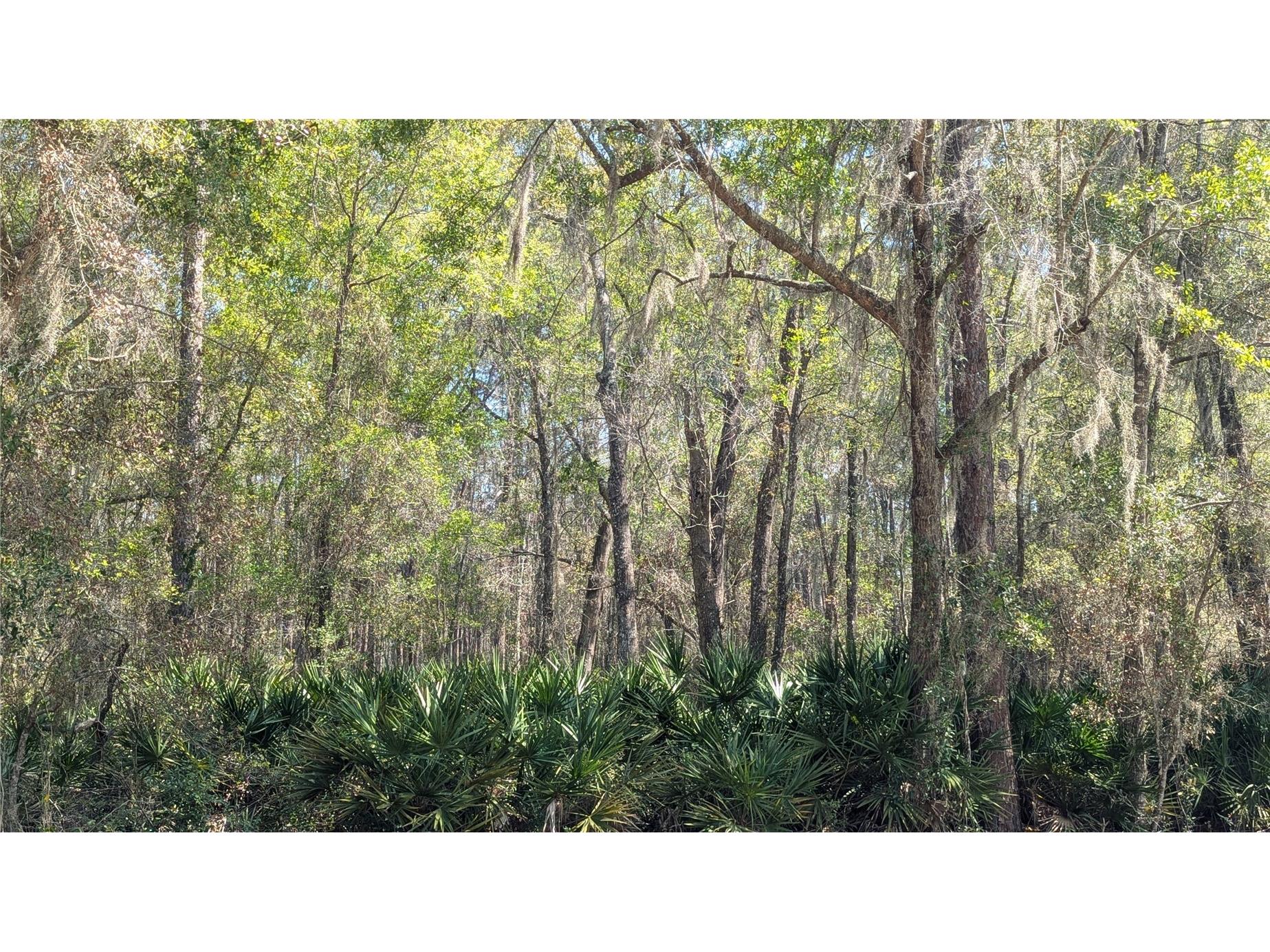 TBD NE County Road 234 Gainesville FL 32641 GC538697 image2