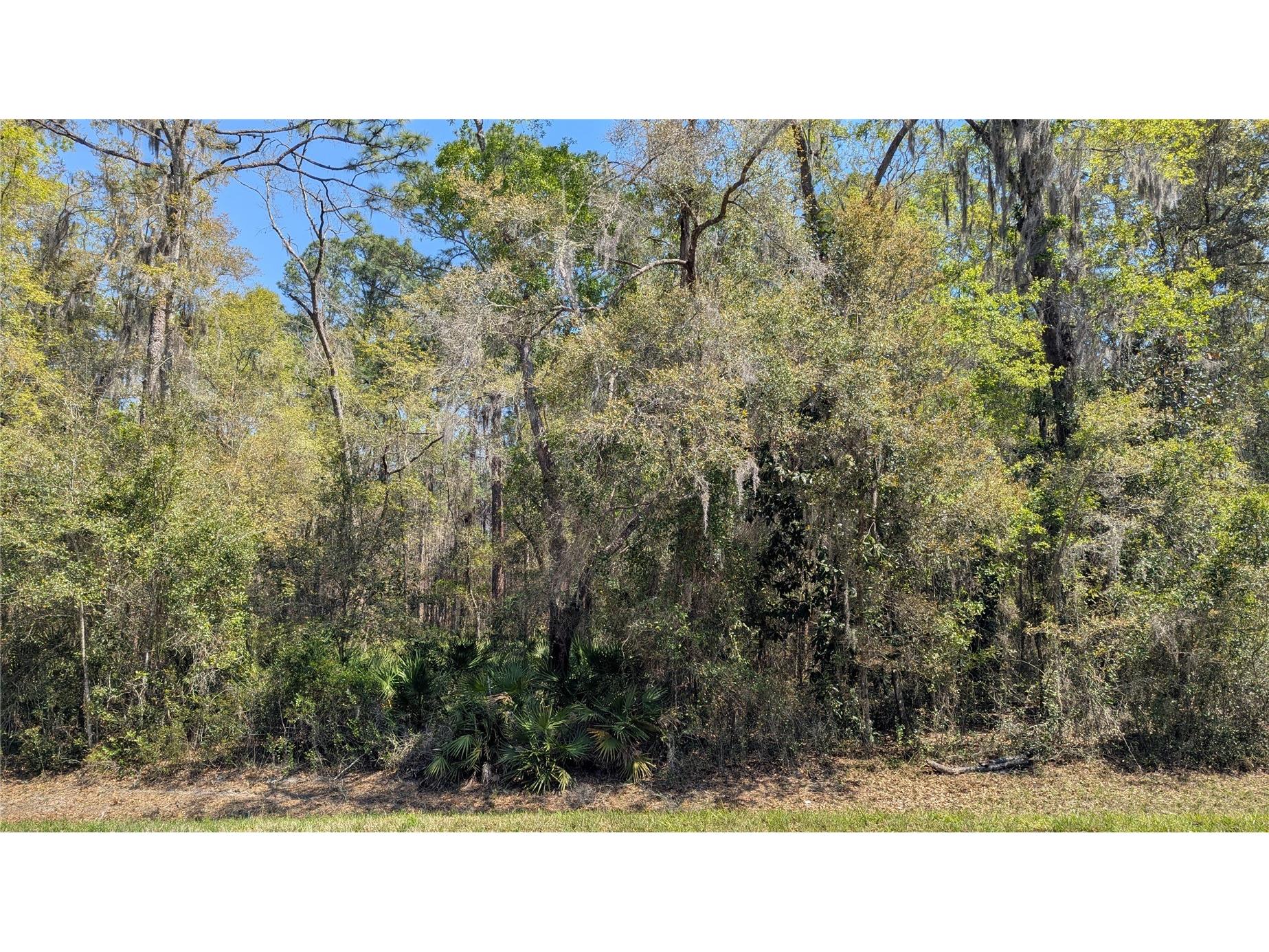 TBD NE County Road 234 Gainesville FL 32641 GC538697 image4