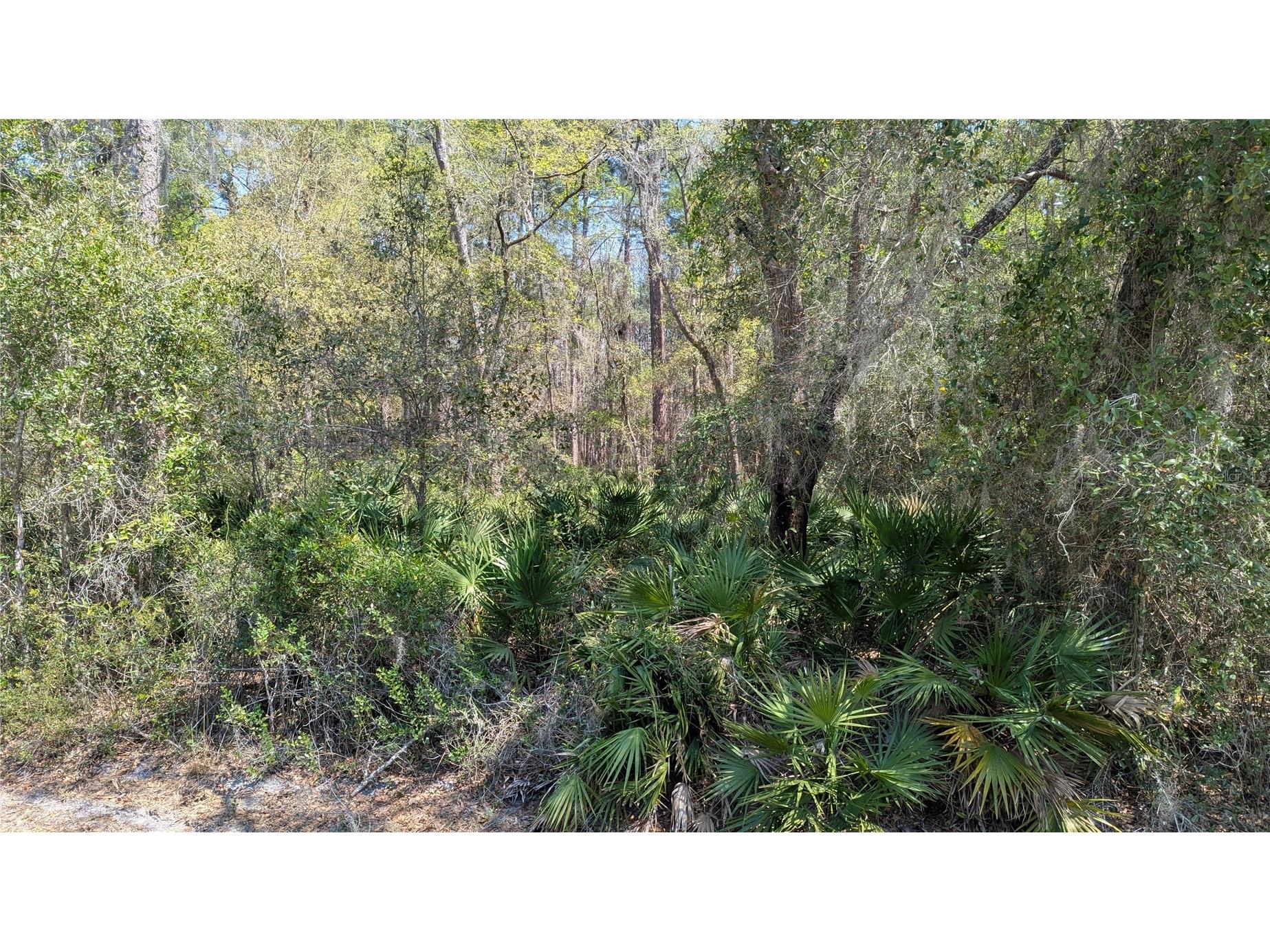 TBD NE County Road 234 Gainesville FL 32641 GC538697 image5