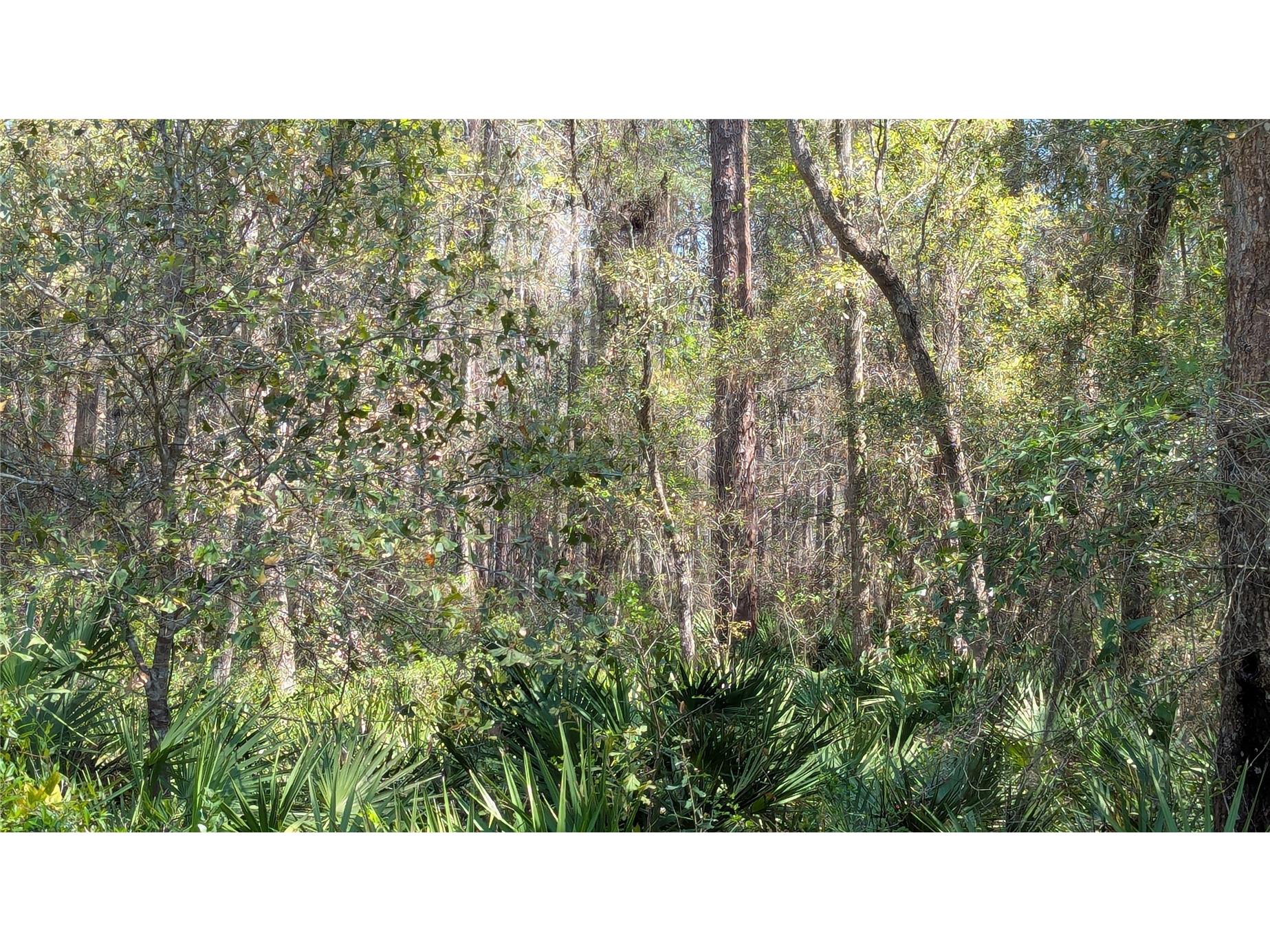 TBD NE County Road 234 Gainesville FL 32641 GC538697 image7
