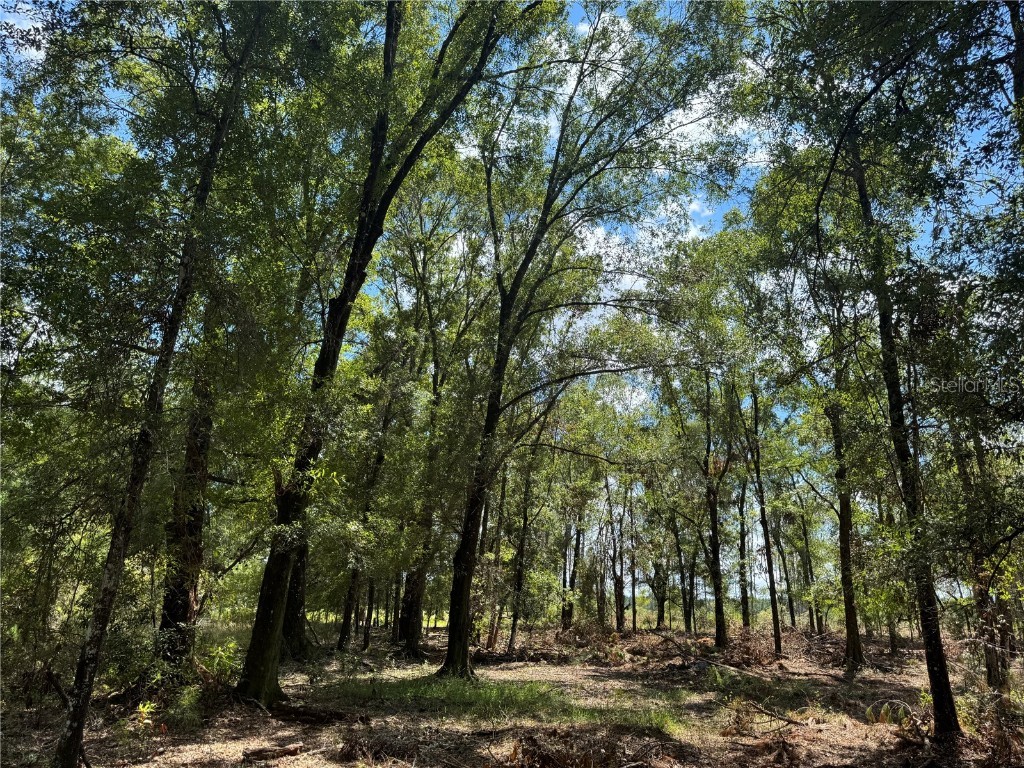 TBD NE Cr 1475 Road Gainesville FL 32609 GC533845 image12