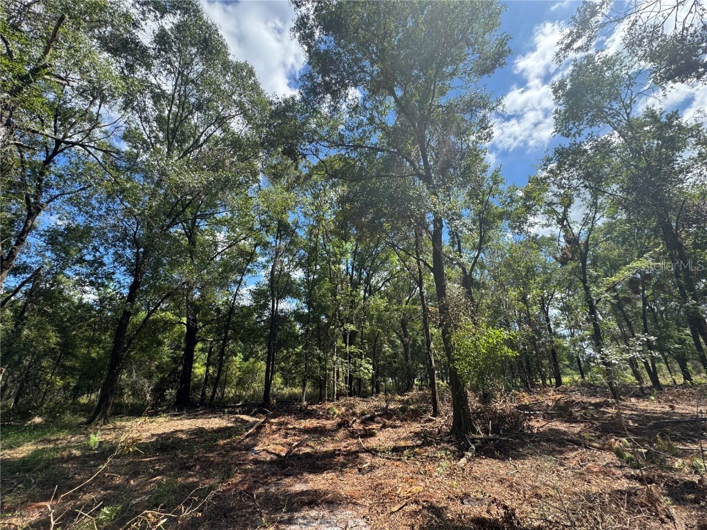TBD NE Cr 1475 Road Gainesville FL 32609 GC533845 image13