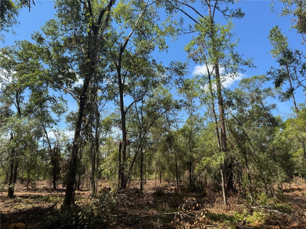 TBD NE Cr 1475 Road Gainesville FL 32609 GC533845 image14