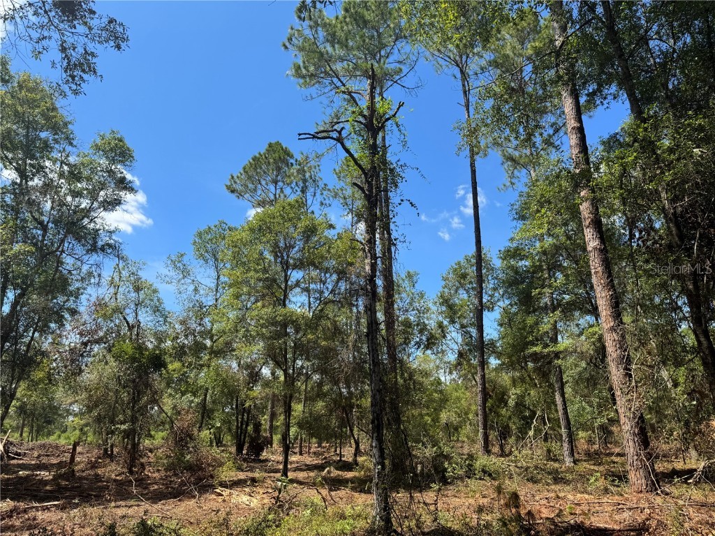 TBD NE Cr 1475 Road Gainesville FL 32609 GC533845 image17