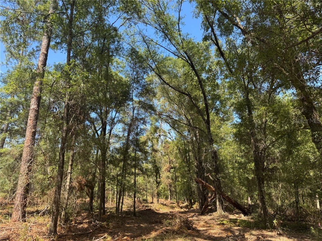 TBD NE Cr 1475 Road Gainesville FL 32609 GC533845 image18