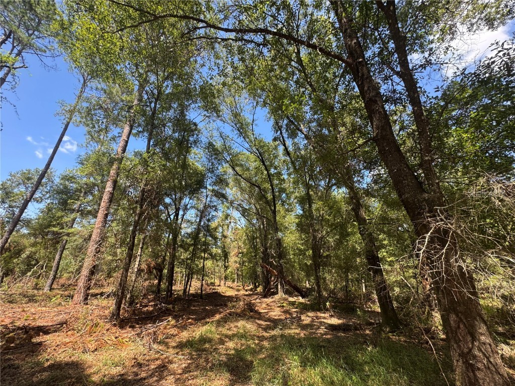 TBD NE Cr 1475 Road Gainesville FL 32609 GC533845 image19