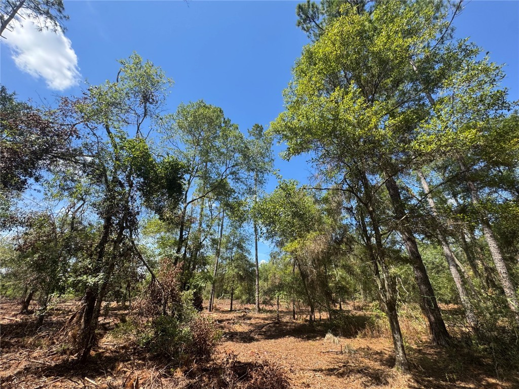TBD NE Cr 1475 Road Gainesville FL 32609 GC533845 image20