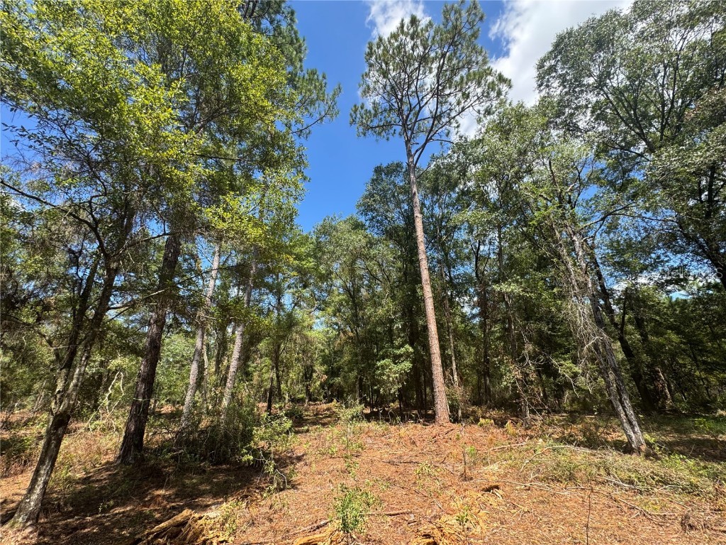 TBD NE Cr 1475 Road Gainesville FL 32609 GC533845 image21
