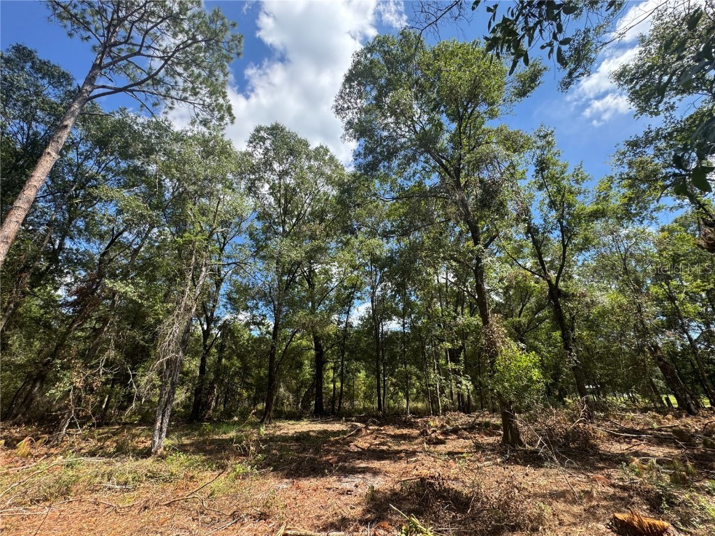 TBD NE Cr 1475 Road Gainesville FL 32609 GC533845 image22