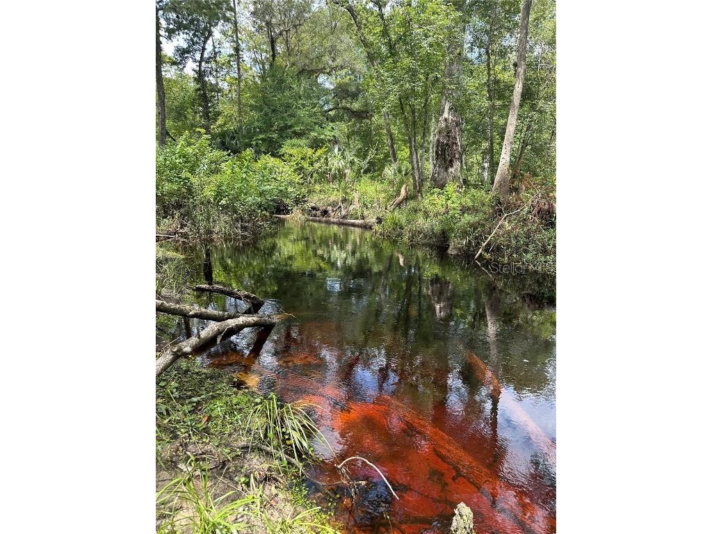 TBD NE E Hwy 318 Highway Fort Mc Coy FL 32134 - ORANGE CREEK OM684551 image1