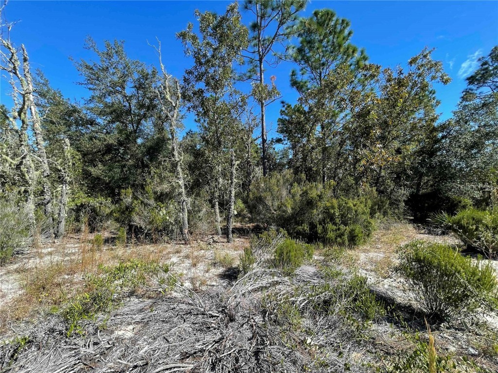 TBD NE Highway 27 Alt Bronson FL 32621 OM712000 image5