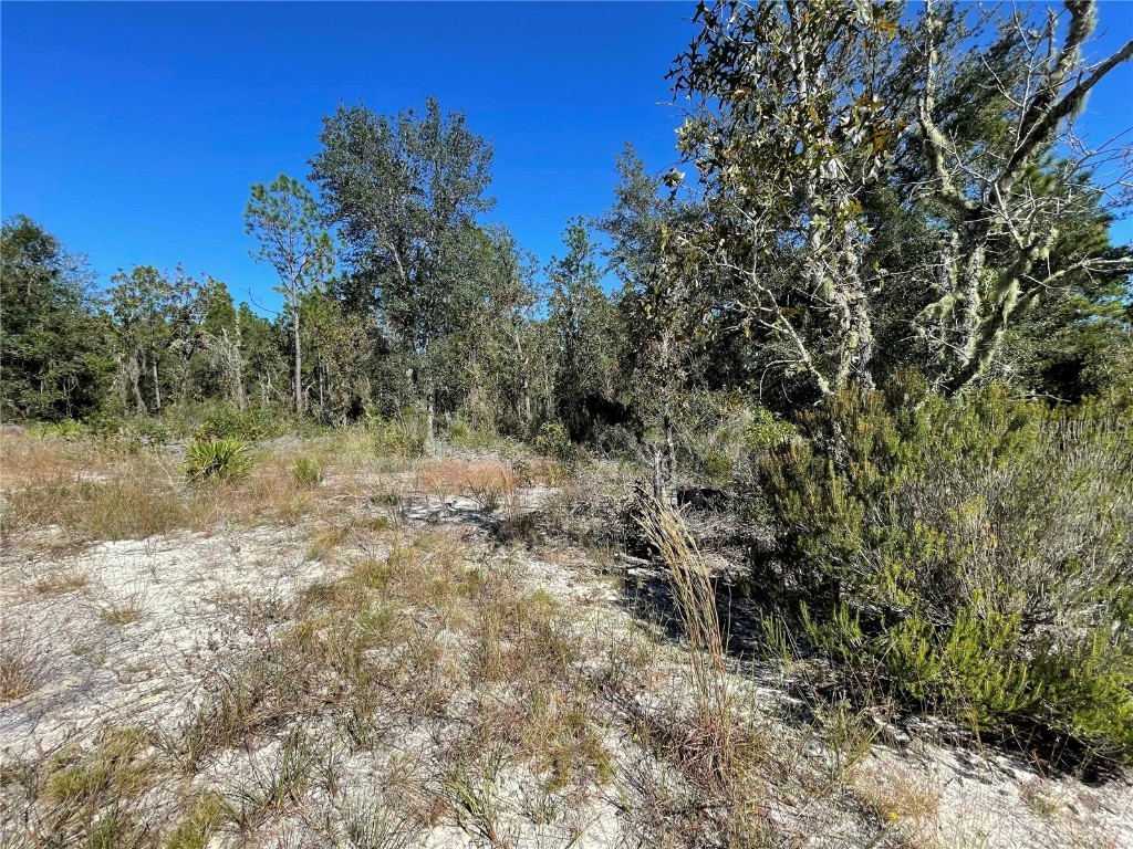 TBD NE Highway 27 Alt Bronson FL 32621 OM712000 image6