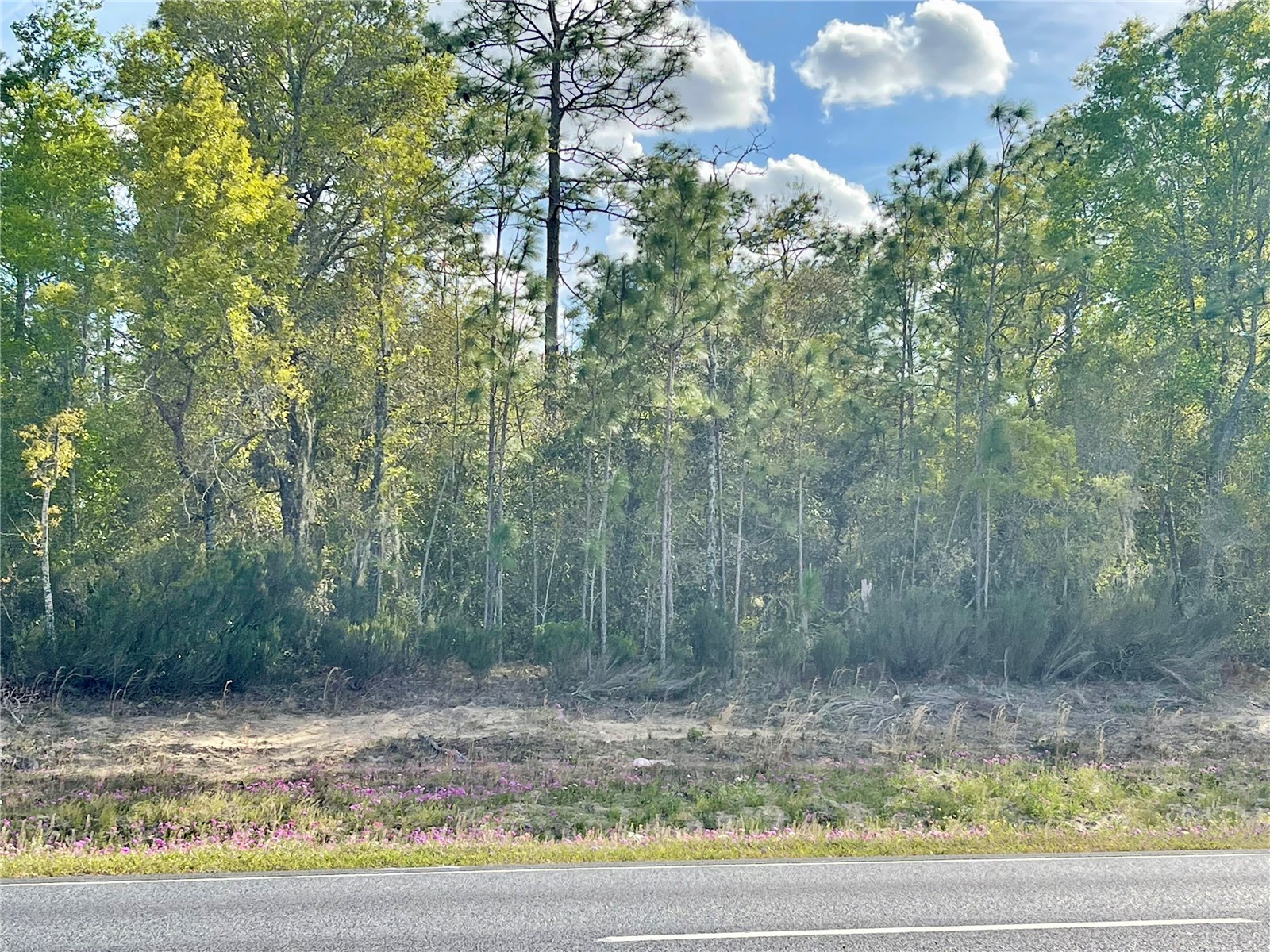 TBD NE Highway 27 Alt Williston FL 32696 OM721941 image1