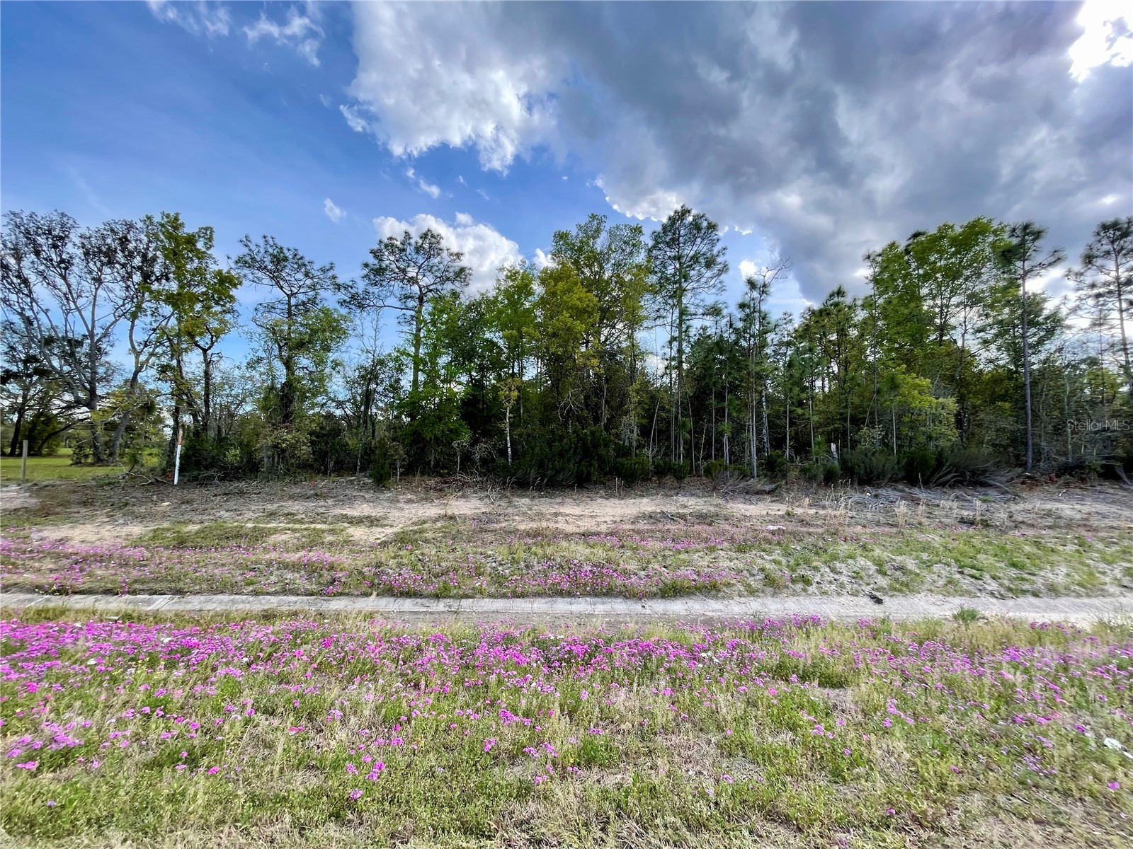 TBD NE Highway 27 Alt Williston FL 32696 OM721941 image2