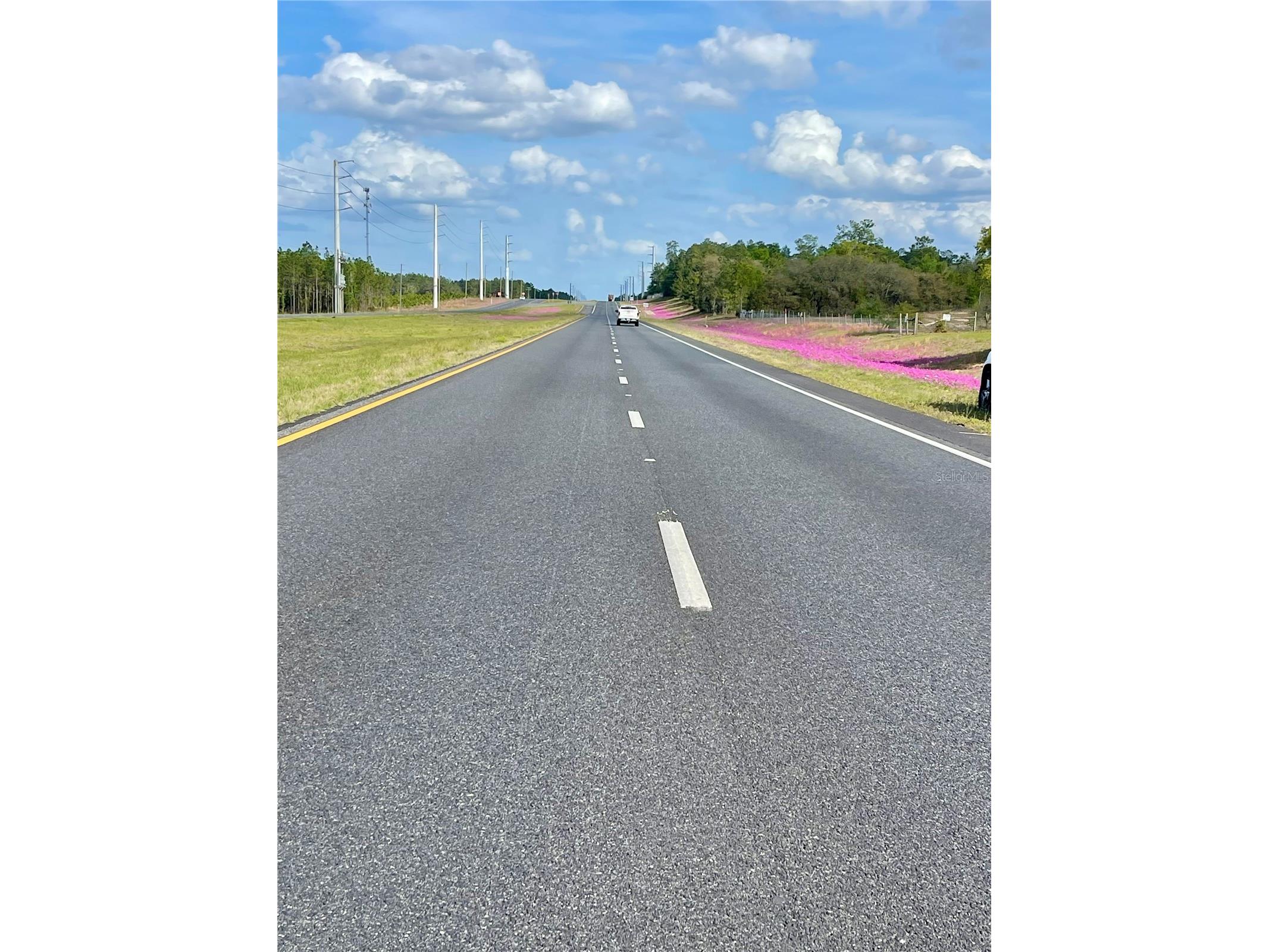 TBD NE Highway 27 Alt Williston FL 32696 OM721941 image3