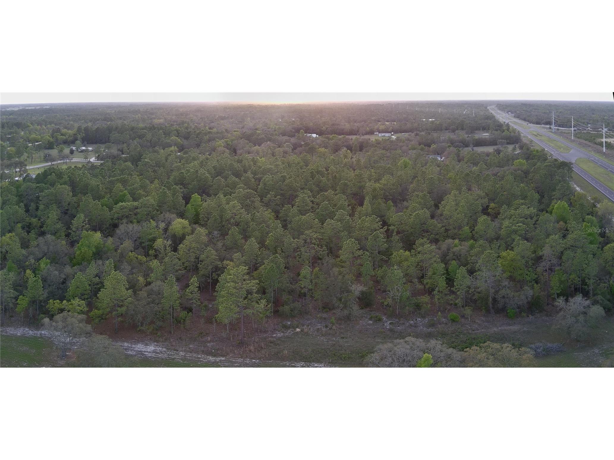 TBD NE Highway 27 Alt Williston FL 32696 OM721941 image4