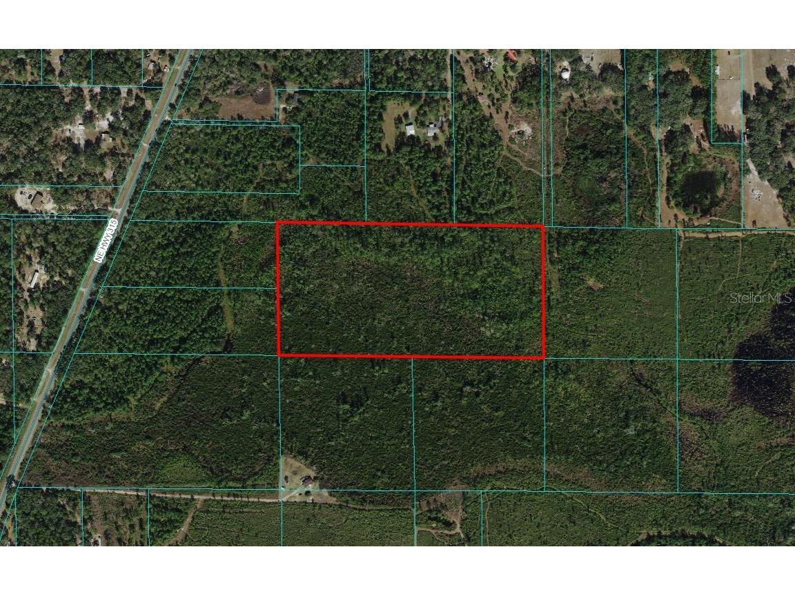 TBD NE Hwy 315 Fort Mc Coy FL 32134 OM674764 image1