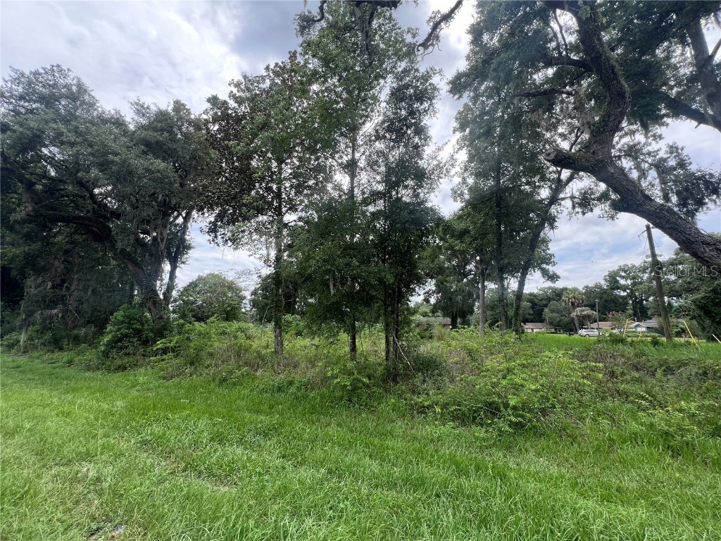 TBD NE Jacksonville Rd Ocala FL 34479 OM681723 image1