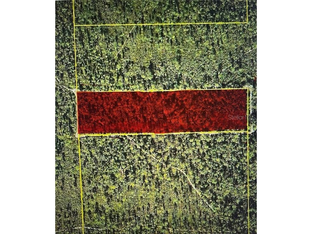 TBD NE Ne 144th Terr Silver Springs FL 34488 OM710853 image1