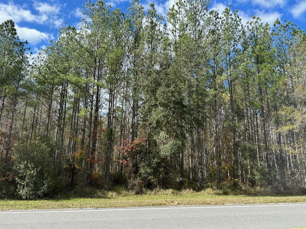 TBD NE Ne Hwy 315 Fort Mc Coy FL 32134 OM694570 image2