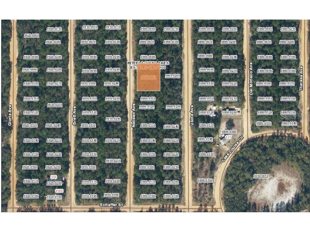 TBD Neilsen Avenue Interlachen FL 32148 OM694650 image1