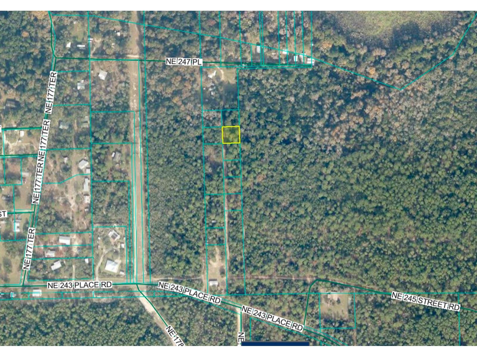 TBD No Situs Fort Mc Coy FL 32134 OM720181 image1
