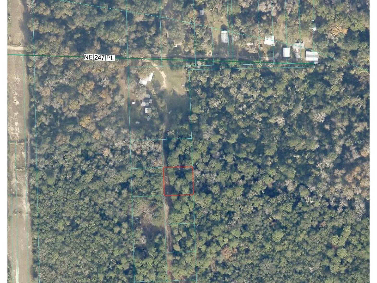 TBD No Situs Fort Mc Coy FL 32134 OM720181 image2