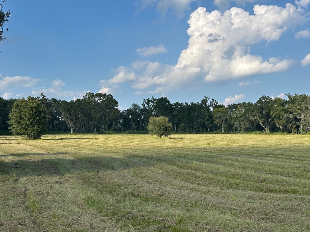 TBD NW 100th Avenue Ocala FL 34482 OM710206 image1