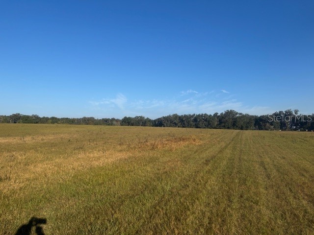 TBD NW 100th Street Ocala FL 34475 OM714295 image4