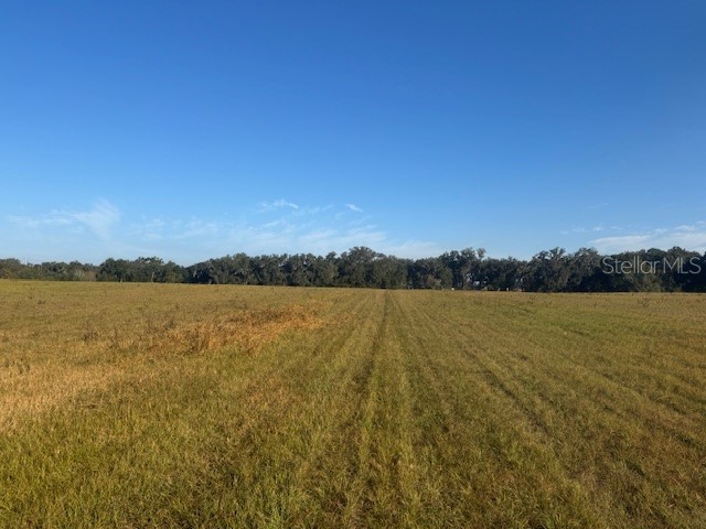 TBD NW 100th Street Ocala FL 34475 OM714295 image8