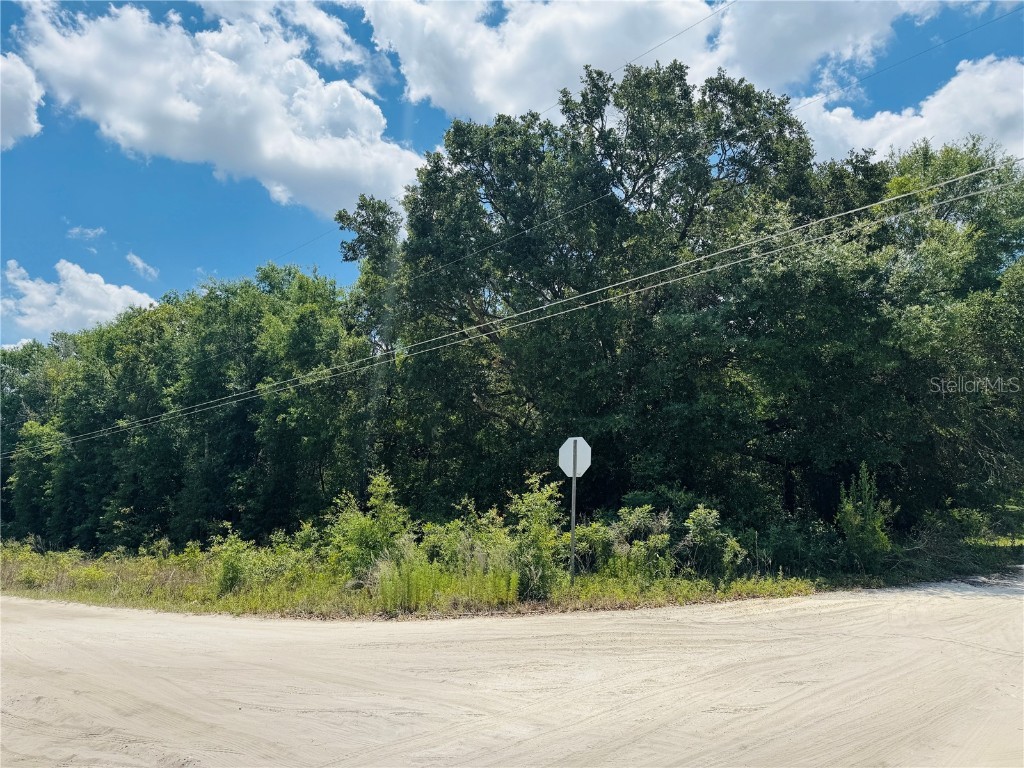 TBD NW 10th Street Ocala FL 34482 OM702078 image1
