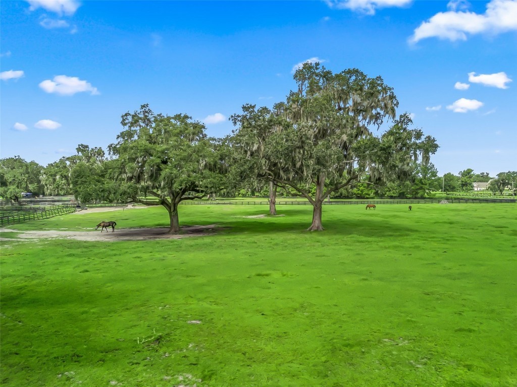 TBD Nw 110th Ave Ocala FL 34482 OM709432 image13