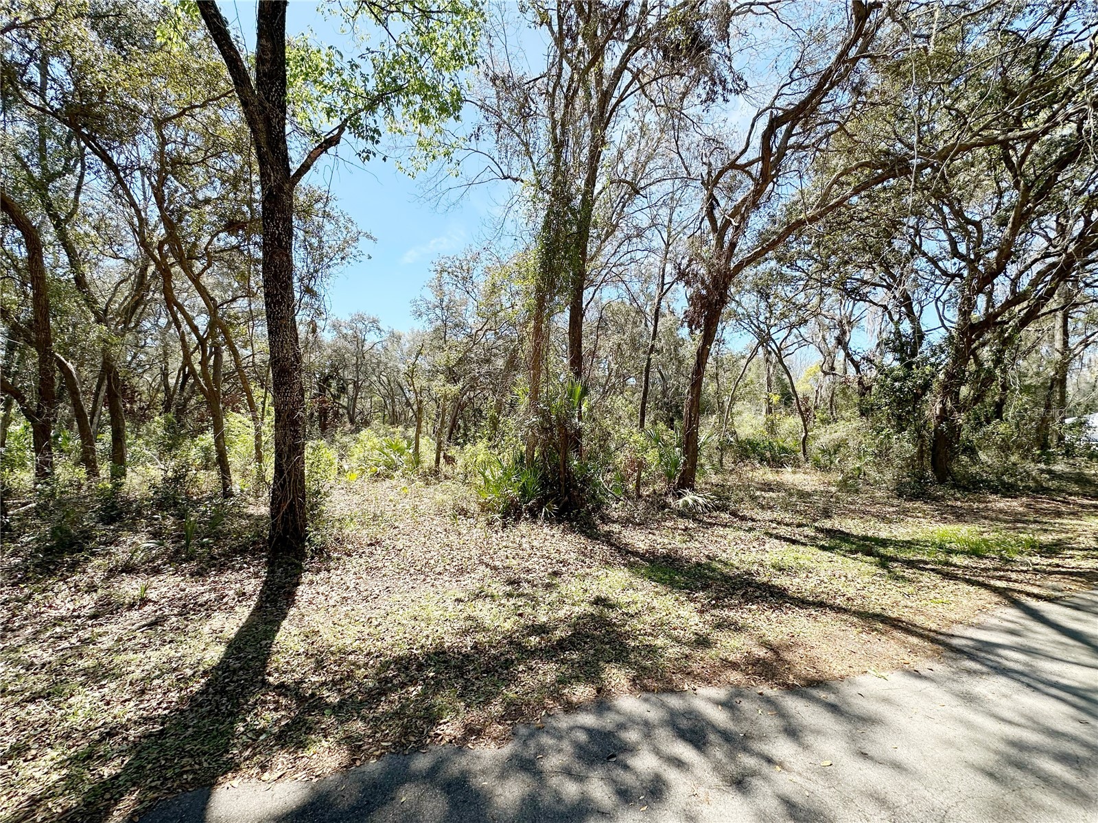 TBD NW 110th Circle Lot 3 Chiefland FL 32626 GC538612 image1
