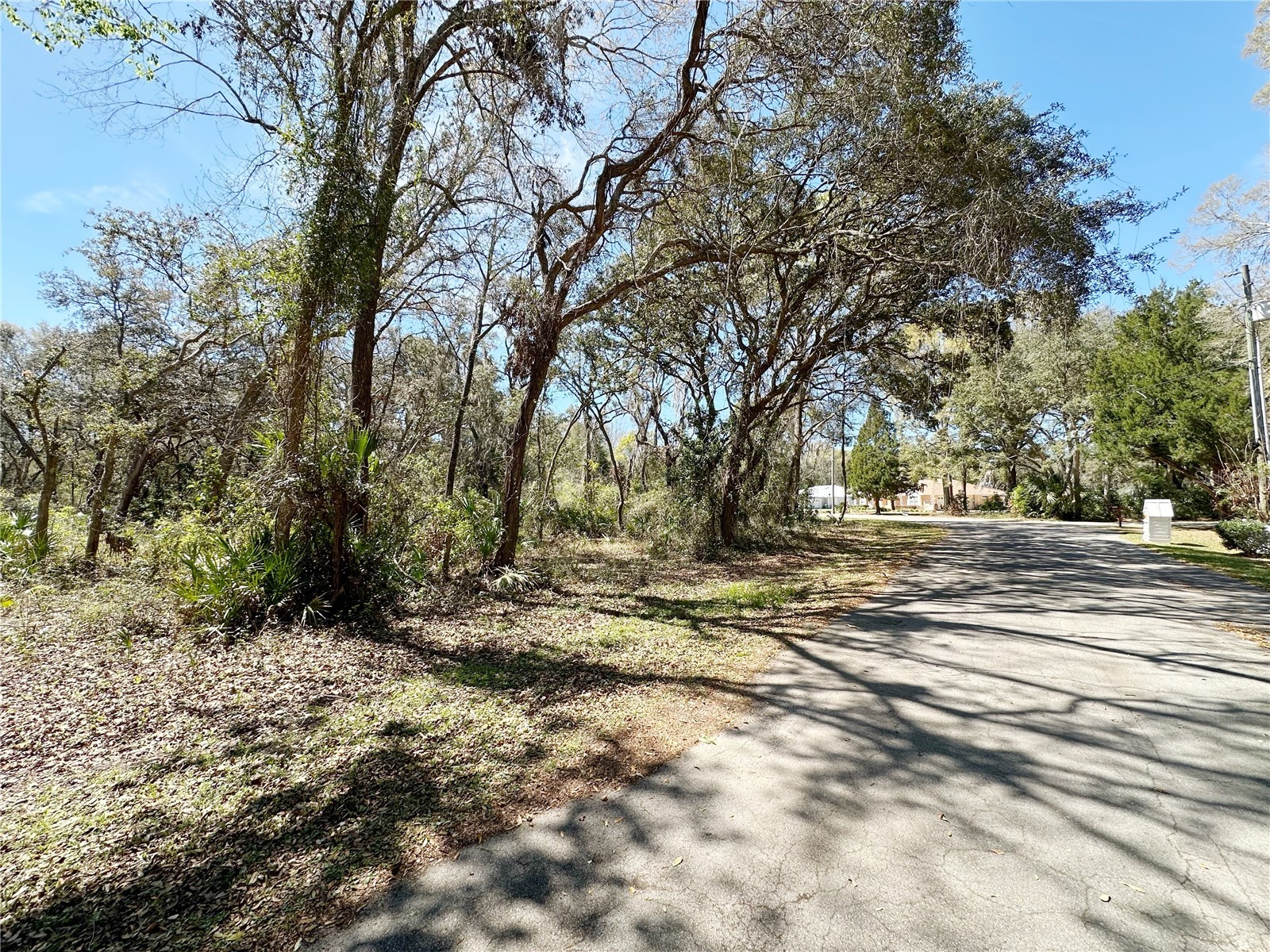 TBD NW 110th Circle Lot 3 Chiefland FL 32626 GC538612 image2