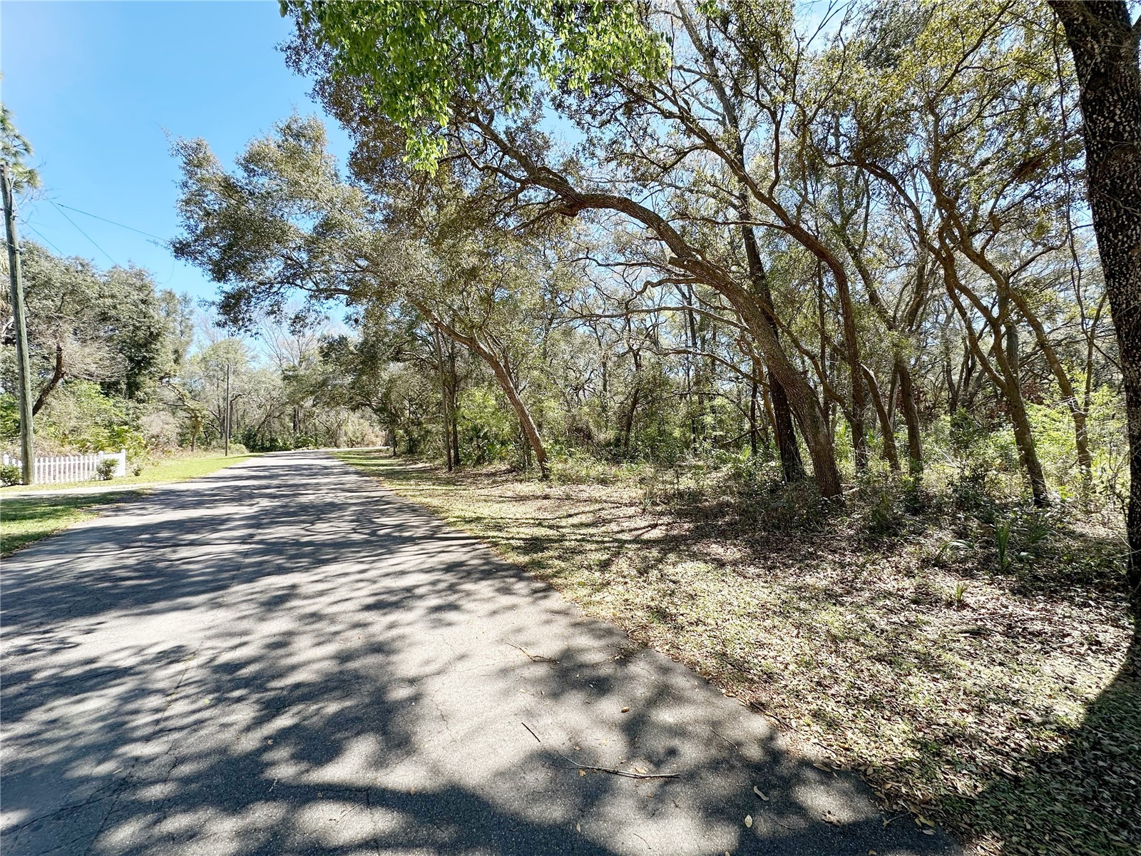TBD NW 110th Circle Lot 3 Chiefland FL 32626 GC538612 image3