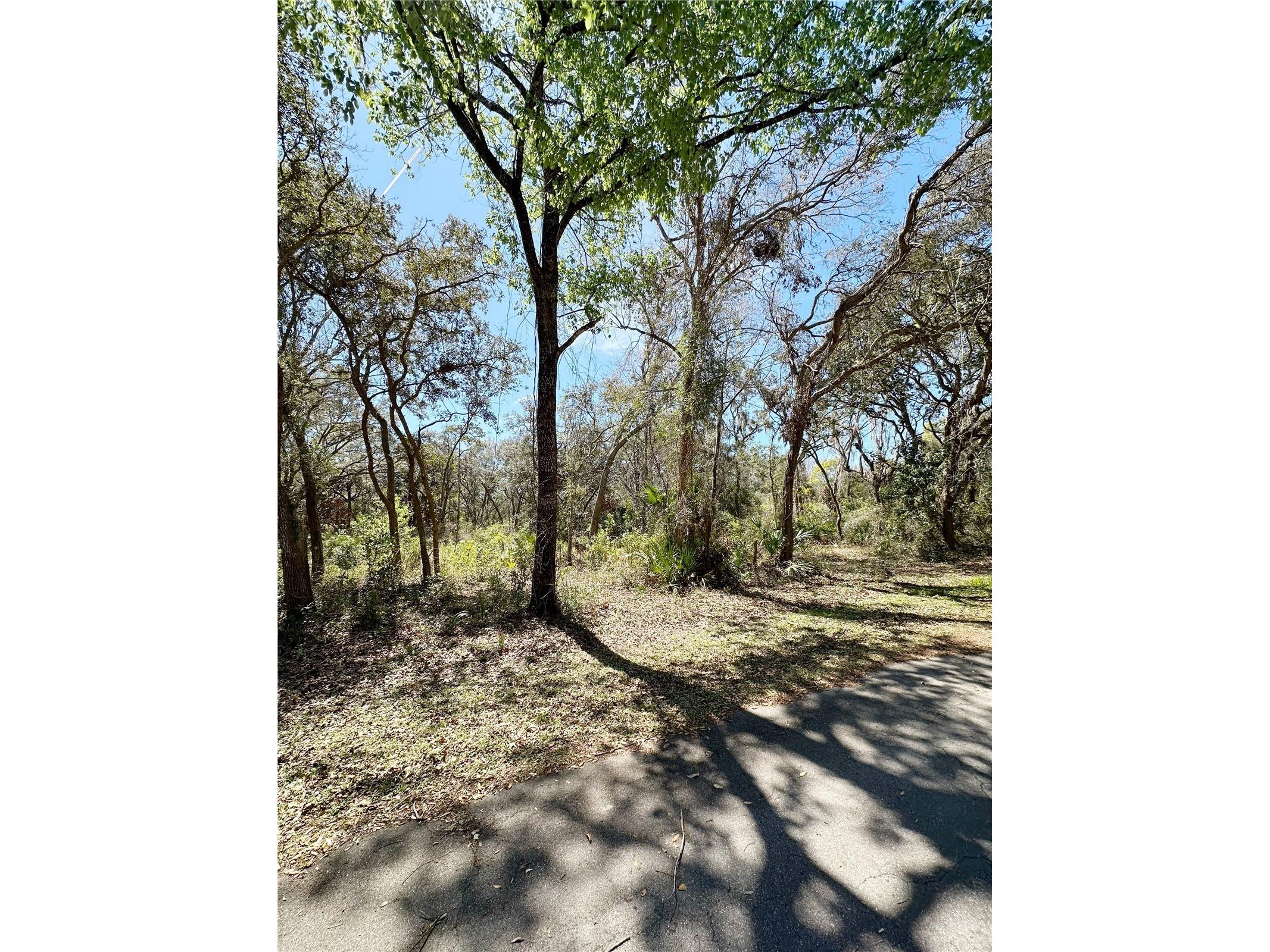TBD NW 110th Circle Lot 3 Chiefland FL 32626 GC538612 image4