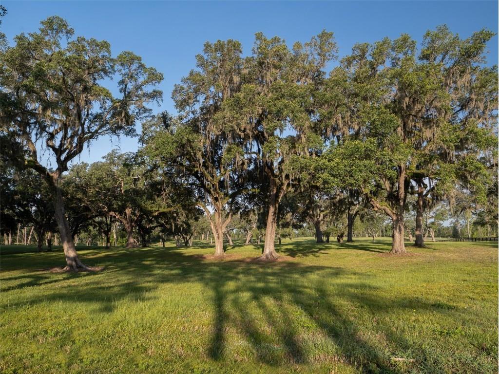 11771 NW 50th Lane Road Ocala FL 34482 OM713488 image3