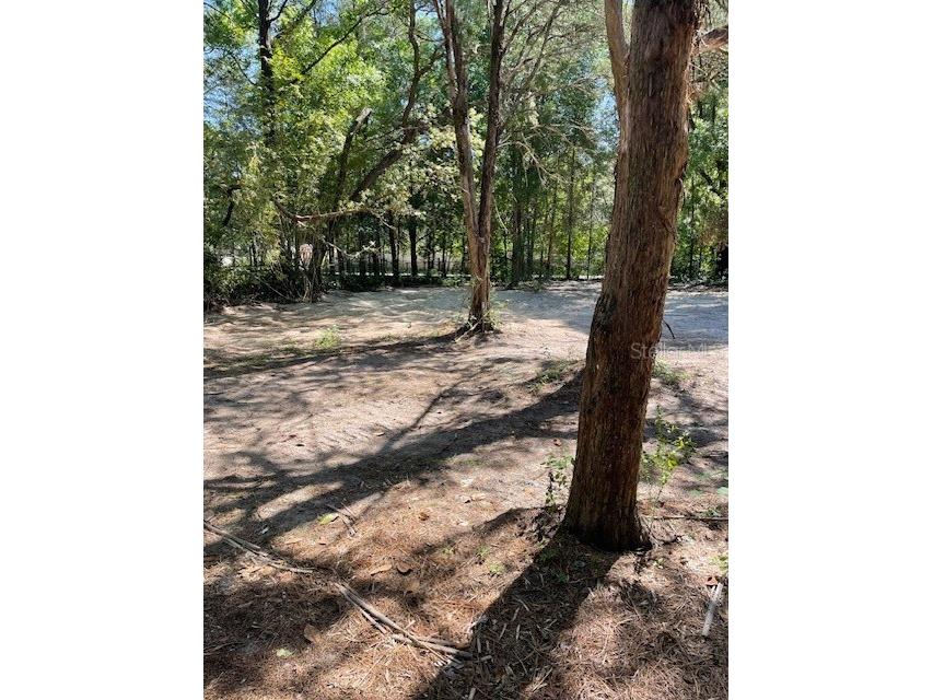 TBD NW 118th Terrace Ocala FL 34482 OM682006 image1